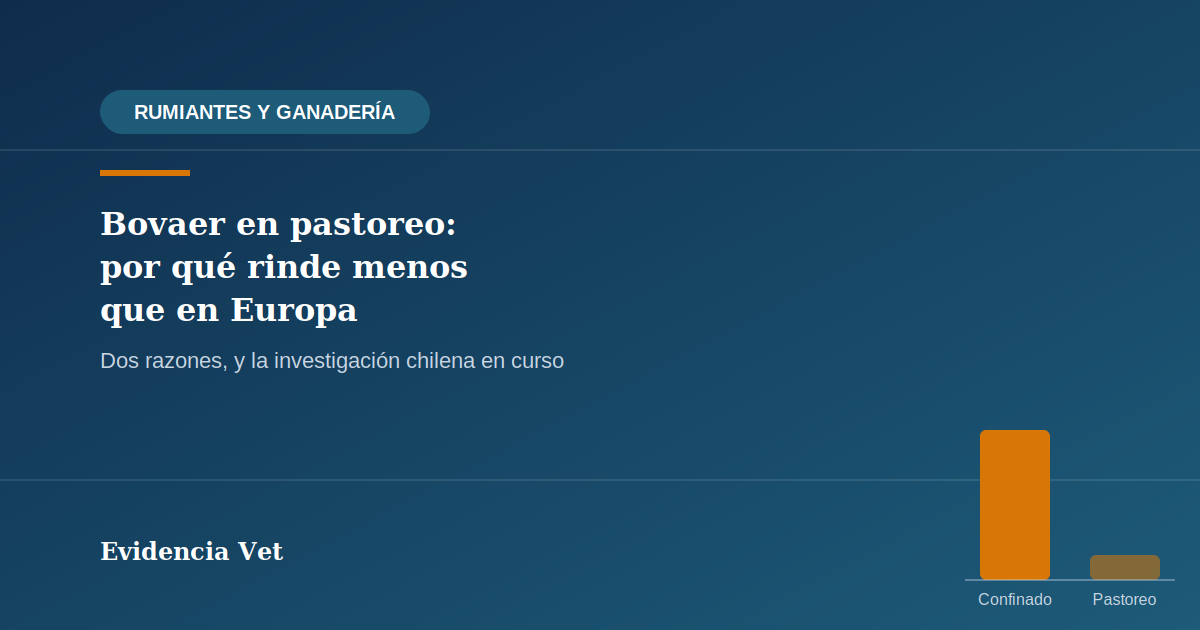 Ilustración editorial sobre metano entérico y aditivos antimetanogénicos en ganadería pastoril chilena, categoría Rumiantes y Ganadería