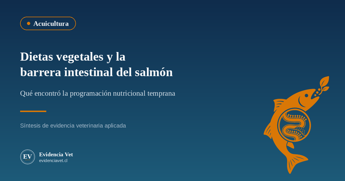 Ilustración sobre programación nutricional temprana y barrera intestinal en salmón del Atlántico alimentado con dietas vegetales