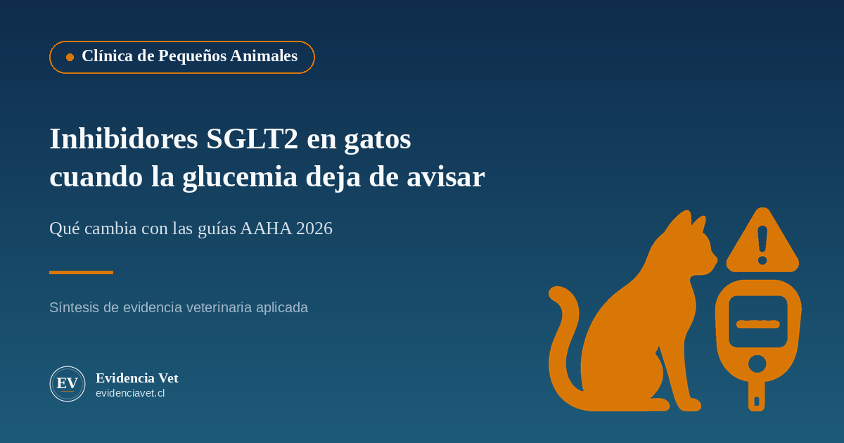 Ilustración sobre el tratamiento oral de la diabetes felina con inhibidores SGLT2 y el riesgo de cetoacidosis euglucémica